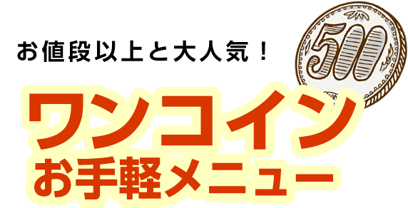 お値段以上と大人気！ ワンコインお手軽メニュー